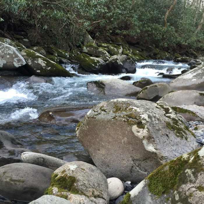 Porters Creek Trail in January. Near Porters Creek Trail