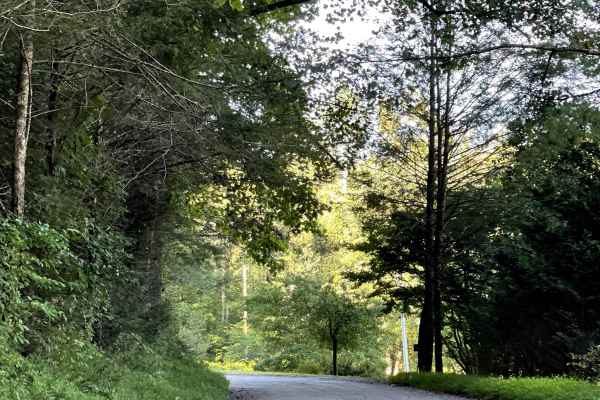 Jake's Mountain Road