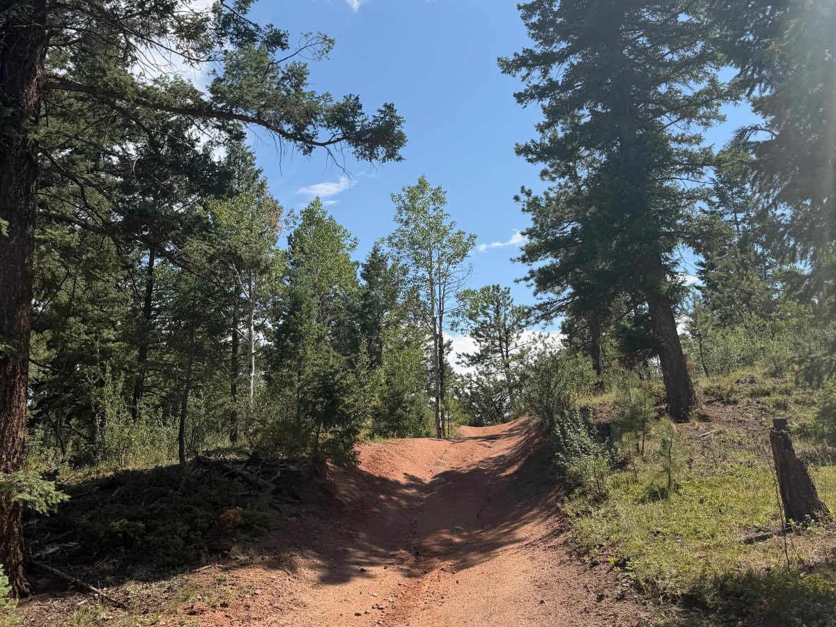 Lower Johns Gulch Road photo 4