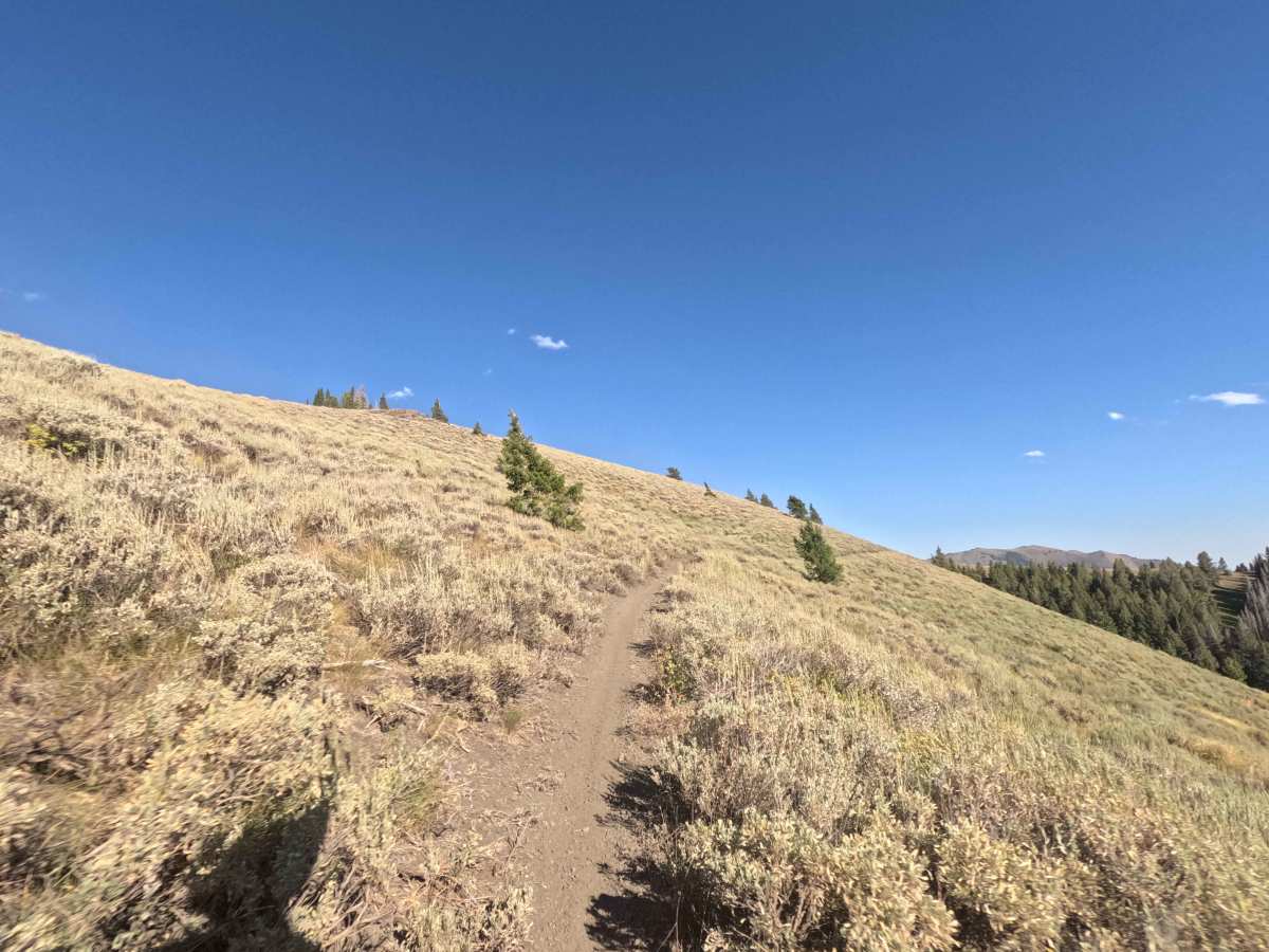 Middle Fork Warm Springs - FS 7150 photo 5