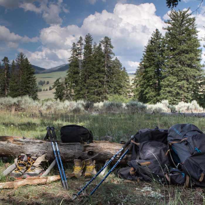Near Hellroaring Creek Loop
