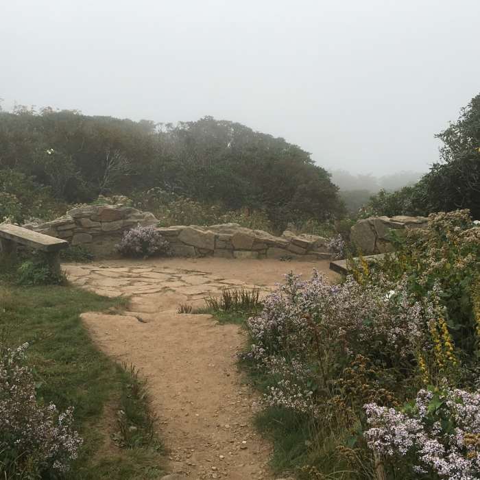 Trail's end. Near Craggy Gardens Trail