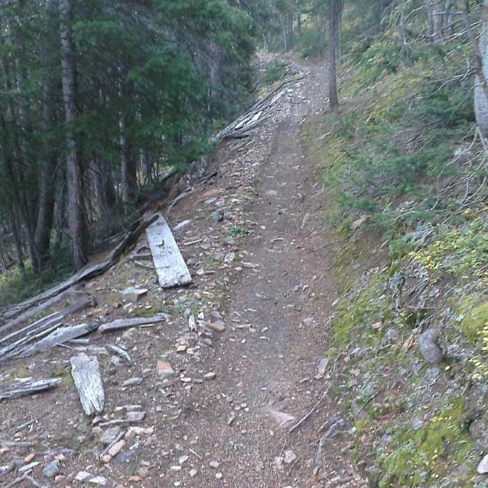 Near Great Flume Trail