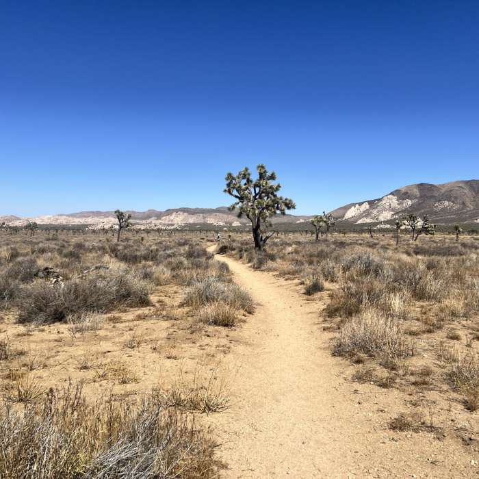 Near Juniper Flats Loop via Ryan Campground
