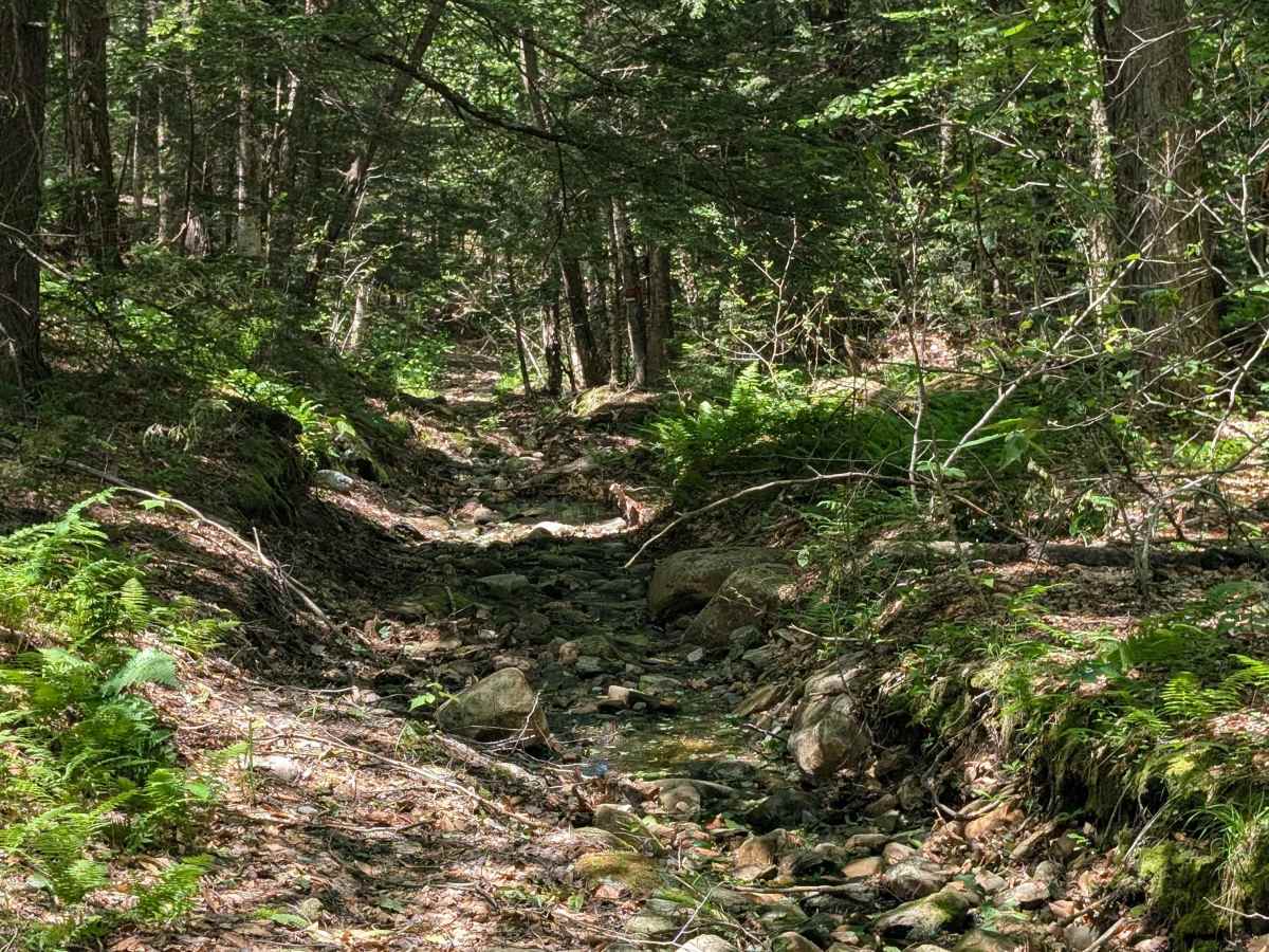 Powell/Stearns Road photo 2
