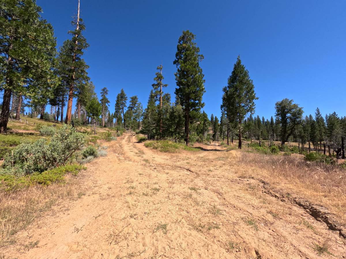 FS 1S41 photo 2