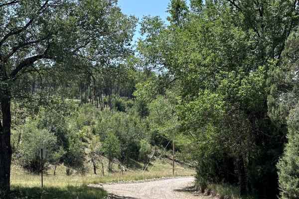 Bear Canyon