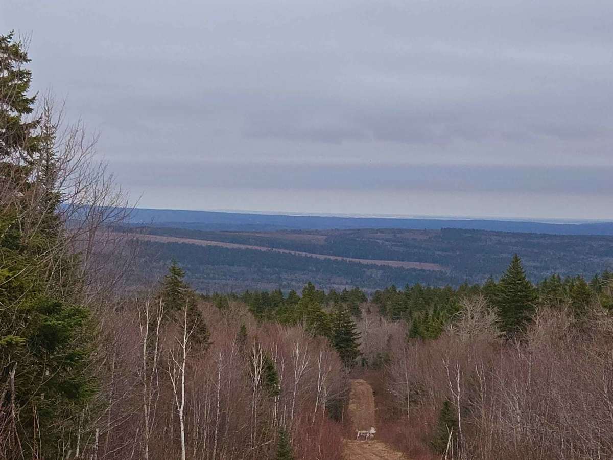 Moosebog photo 5
