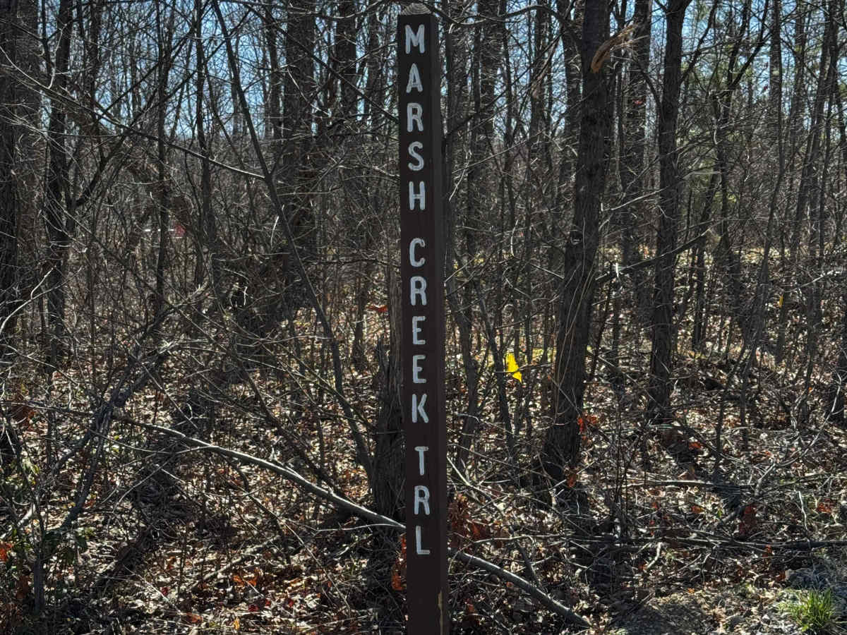 Marsh Creek Trail trail photo