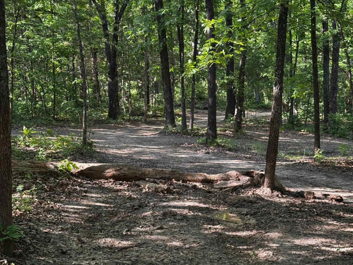 Inner Cut 4 trail photo