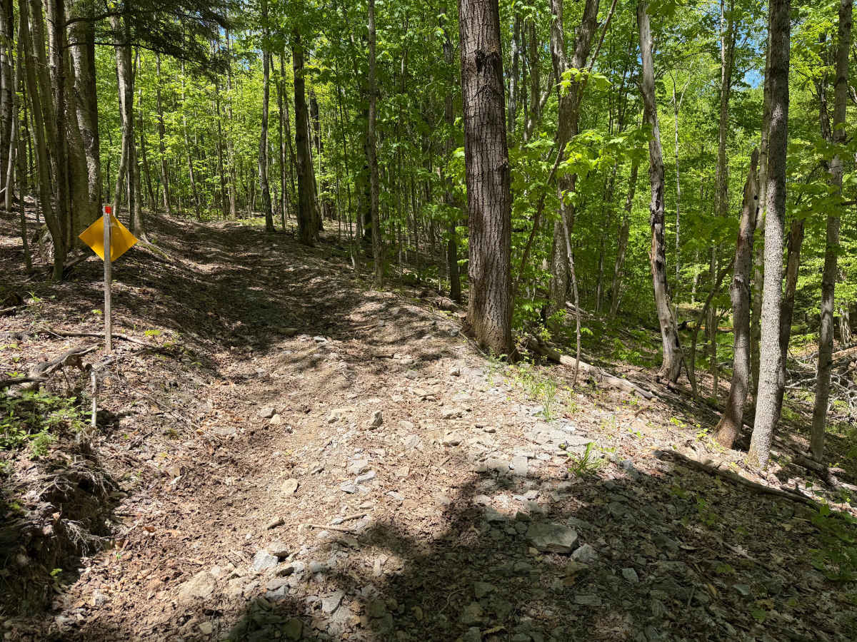 Grower Green Trail East - 3 photo 5