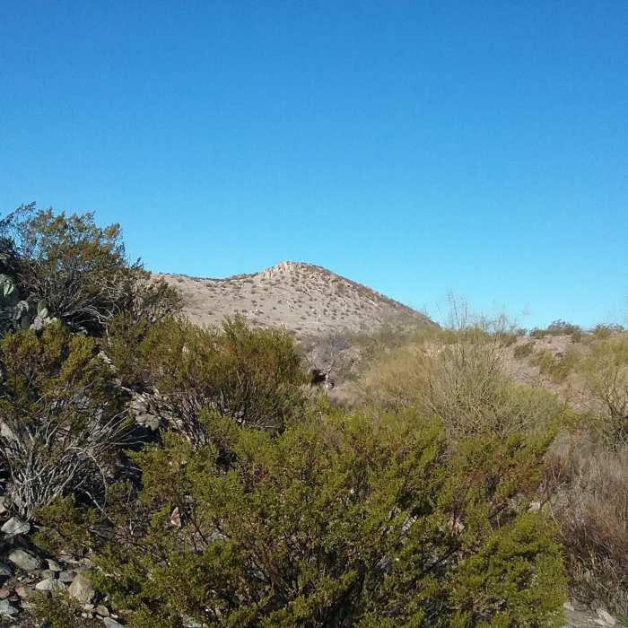 Near Three Hills Loop Trail