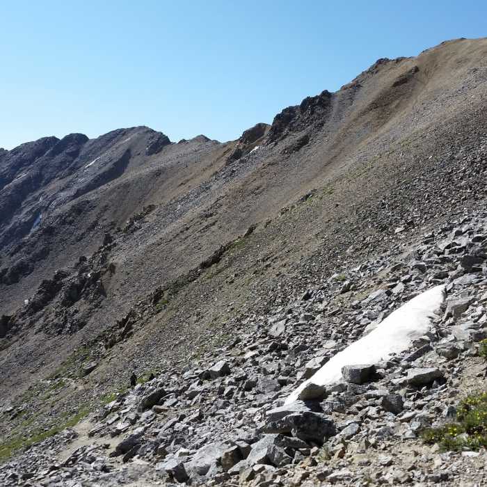 Gaining the ridge on Missouri Mountain Near Missouri Mountain West Ridge