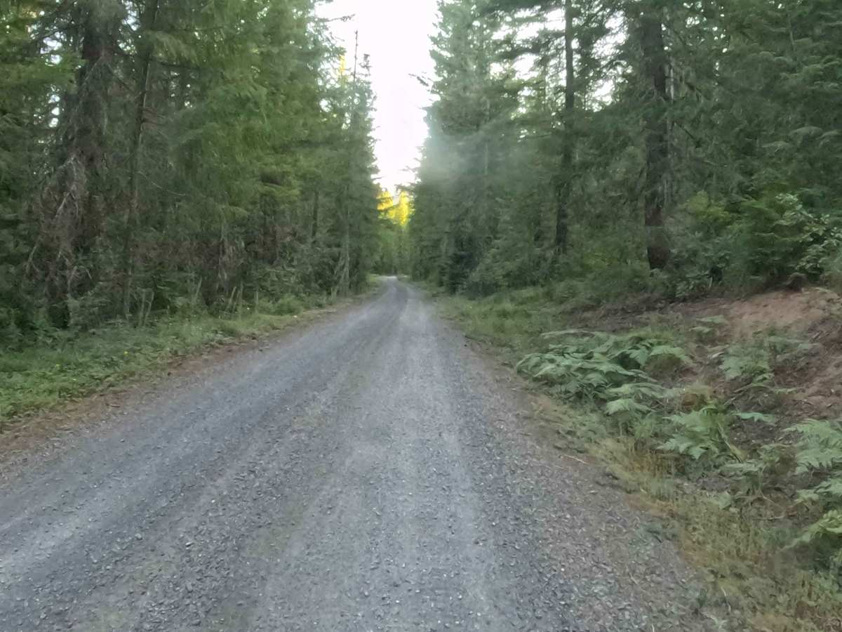 Straight Creek Road - FS 1162000  photo 4