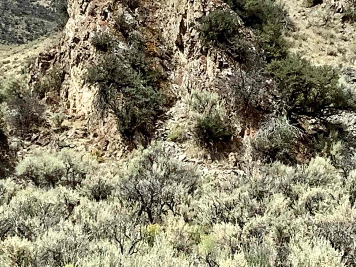 Deer Basin Trail trail photo