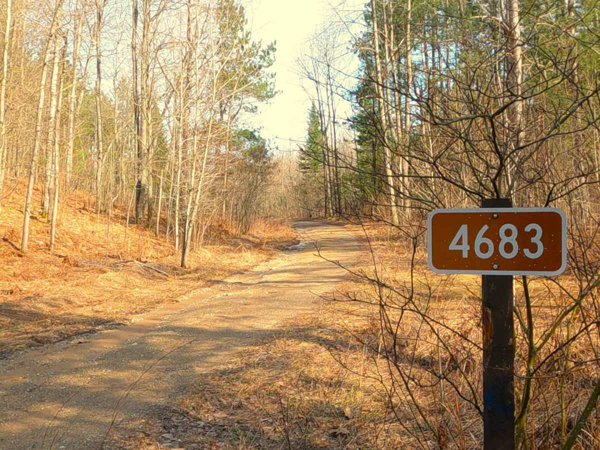 FS 4683 trail photo
