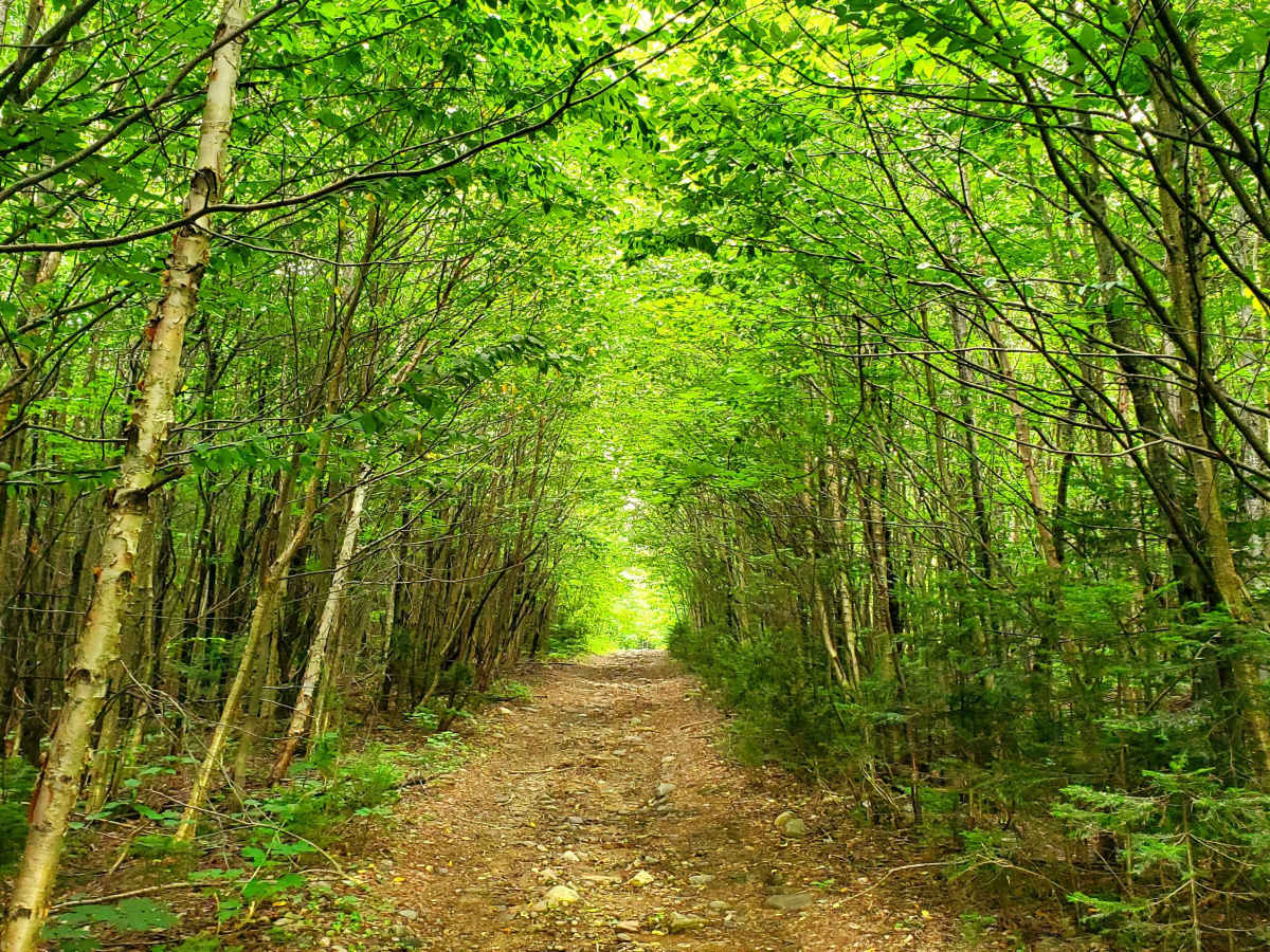 La Boreal trail photo