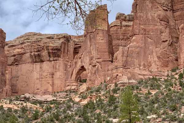 Arch Canyon