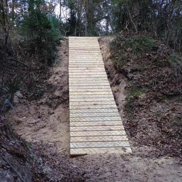 Pink Diamond. Near Cypress Creek Trail