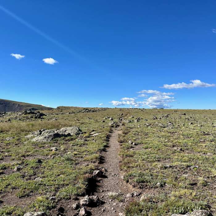 Near Continental Divide Trail: Colorado Section 6