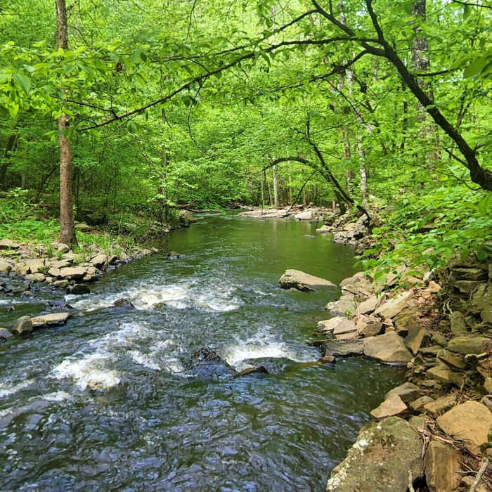 Near Cedar Falls Overlook to Rockhouse Cave