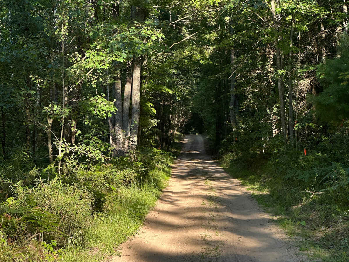 Strief Road photo 4