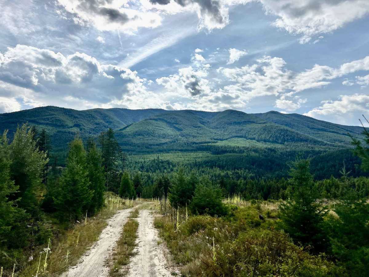 North Meadow Creek trail photo