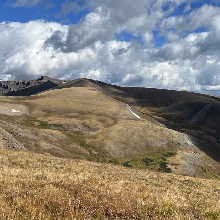 Near 4 Baldy Peak Bonanza