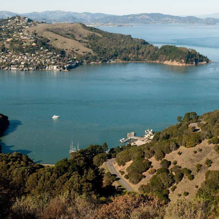 Near Mt. Livermore Summit - North Ridge Trail