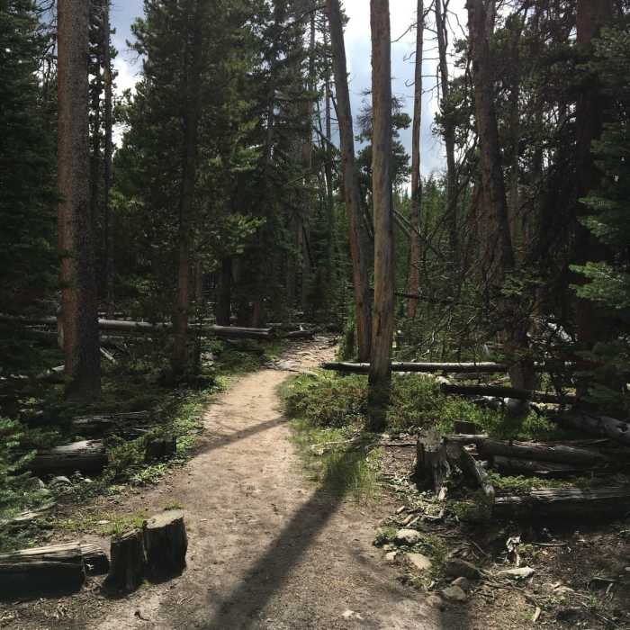 Near Sherd Lake Loop