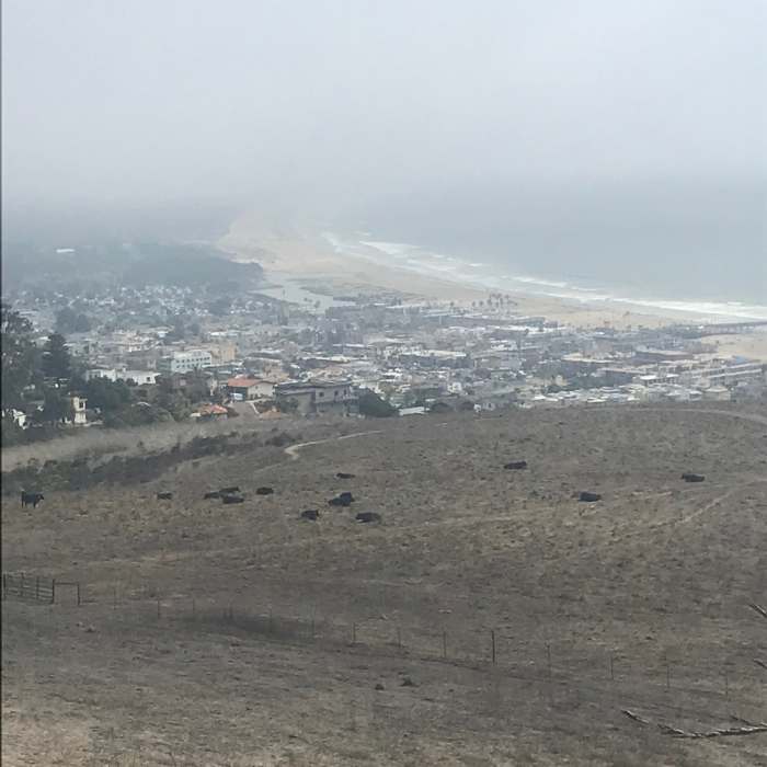 View from the top elevation of Lone Oak trail, looking across the cows and fields down to Pismo Beach in the distance. Near Lone Oak Trail