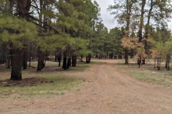 Lava River Cave Road