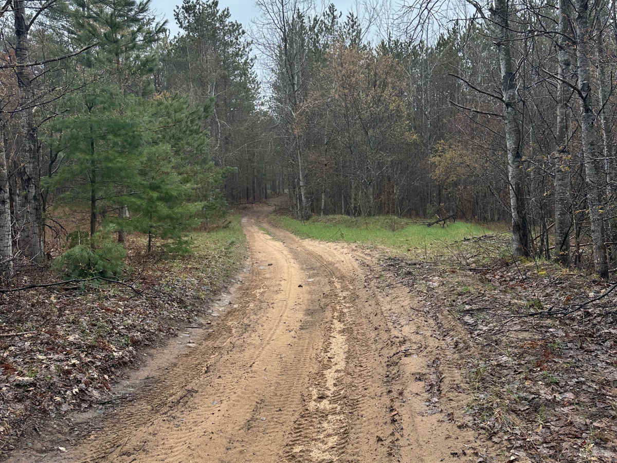Hayesego Loop Around trail photo