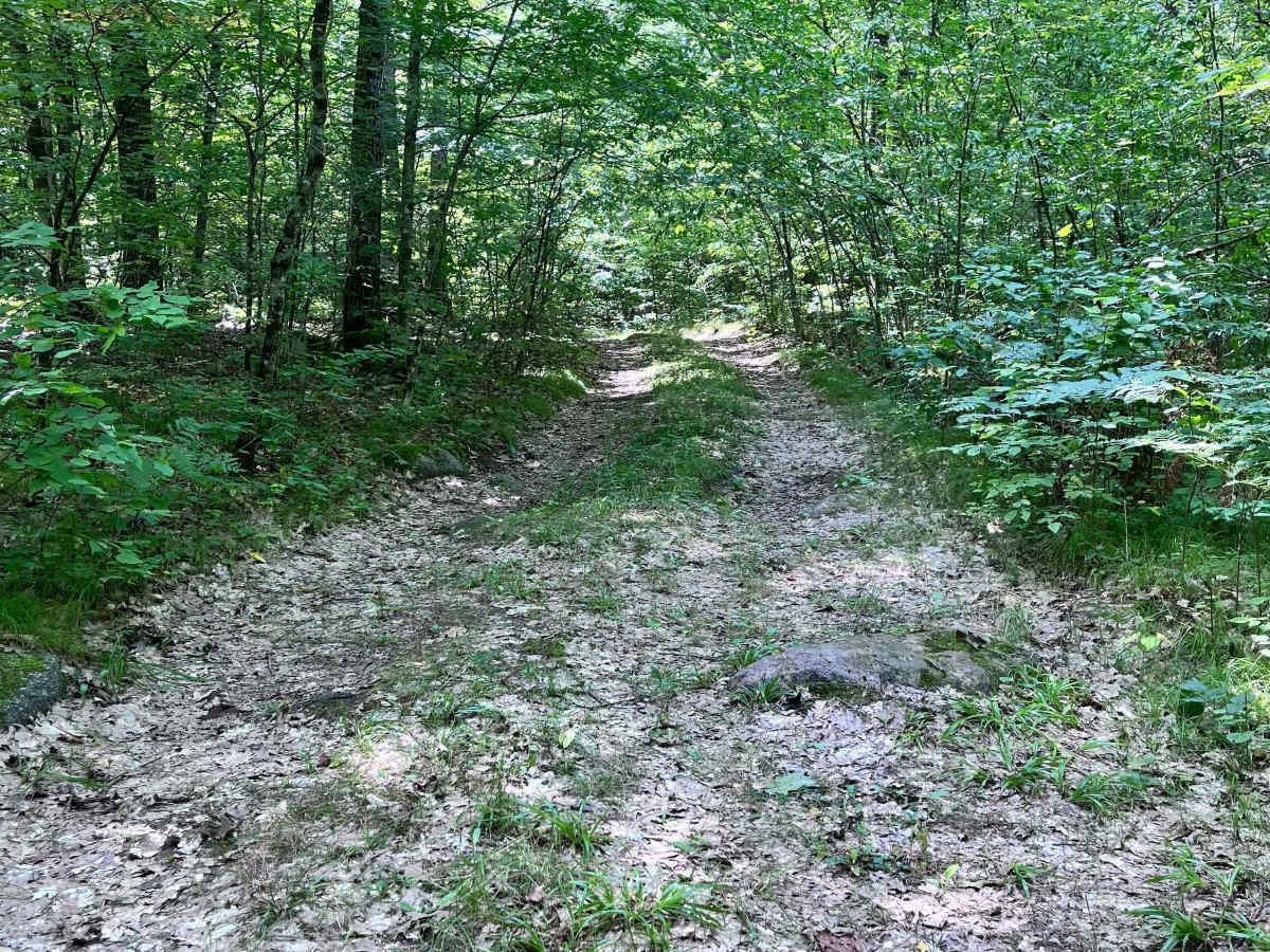 Forest Road 2330B trail photo
