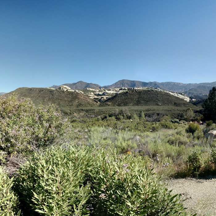 Near Sespe River Trail