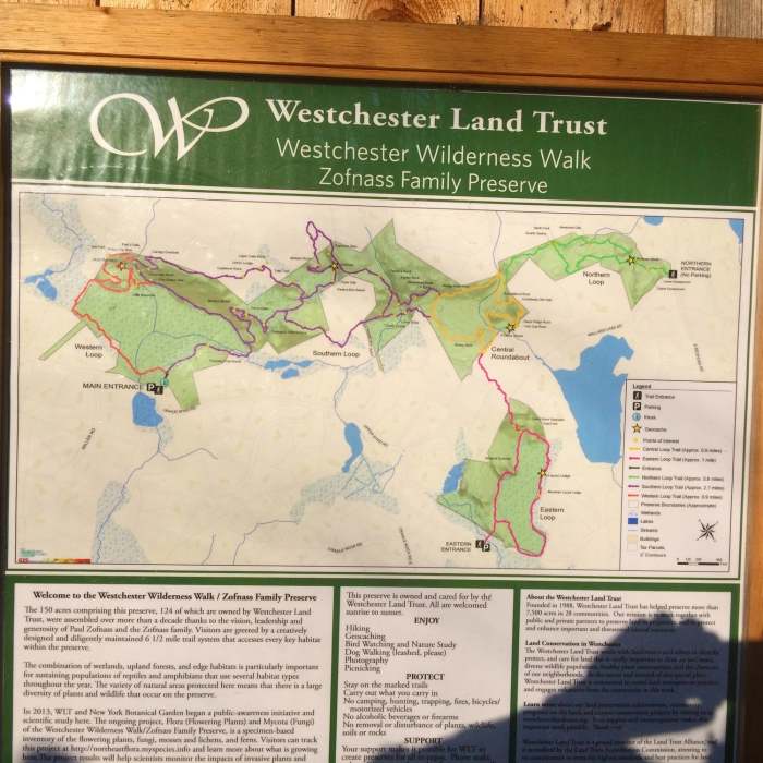 Near Zofnass Preserve Perimeter