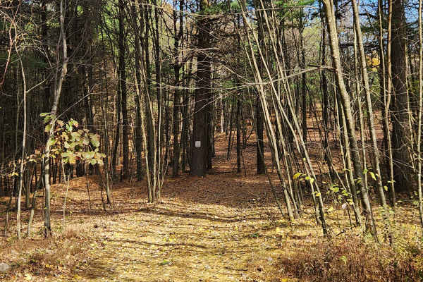 OHV 7 - Rock Run Recreation Area