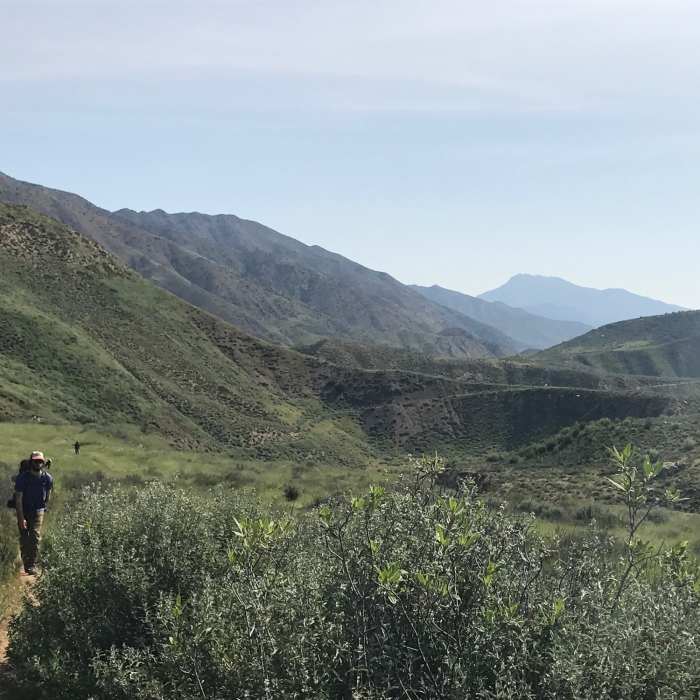 Near Sespe River Trail