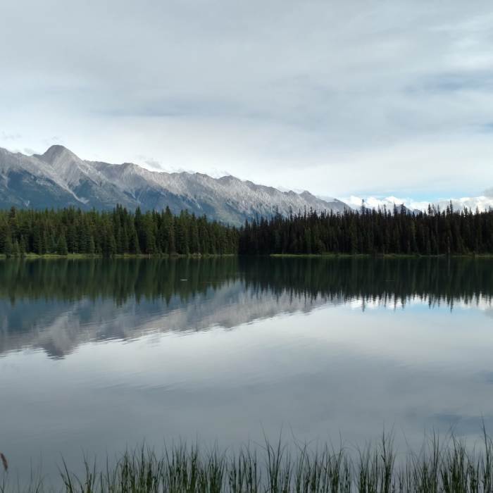 Near Viewpoint Trail