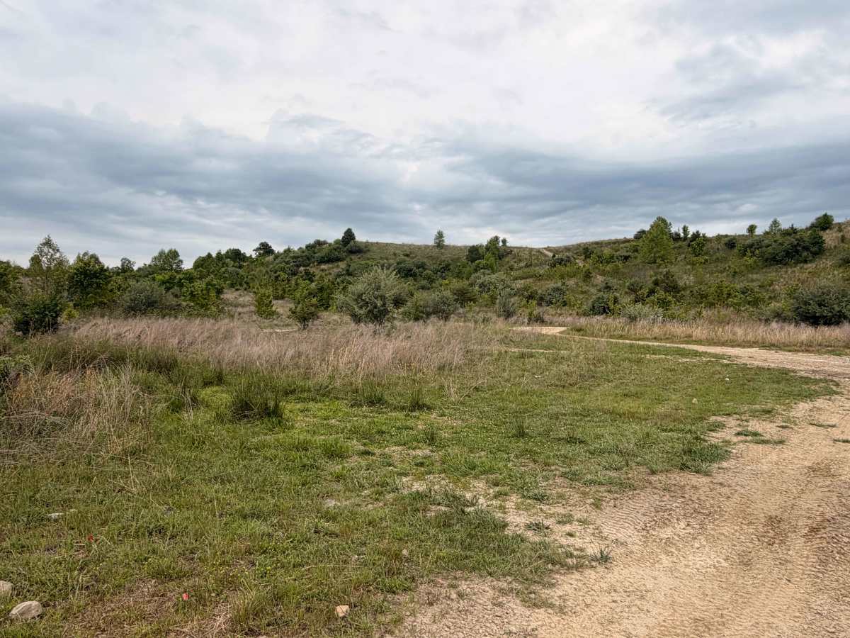 Oval Ridge photo 3