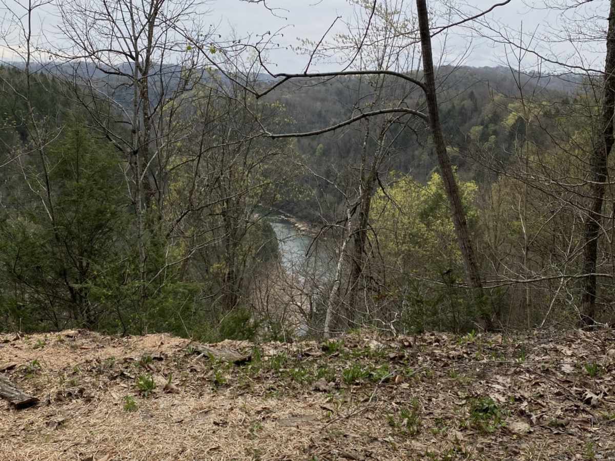 Lucas Road to Meadow River photo 4