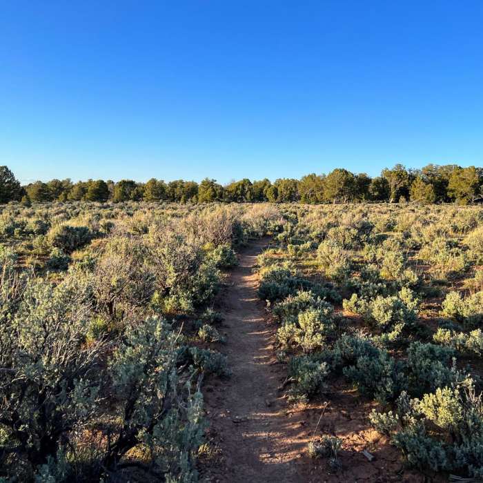 Near Arizona Trail Passage 42: Kaibab Plateau - North