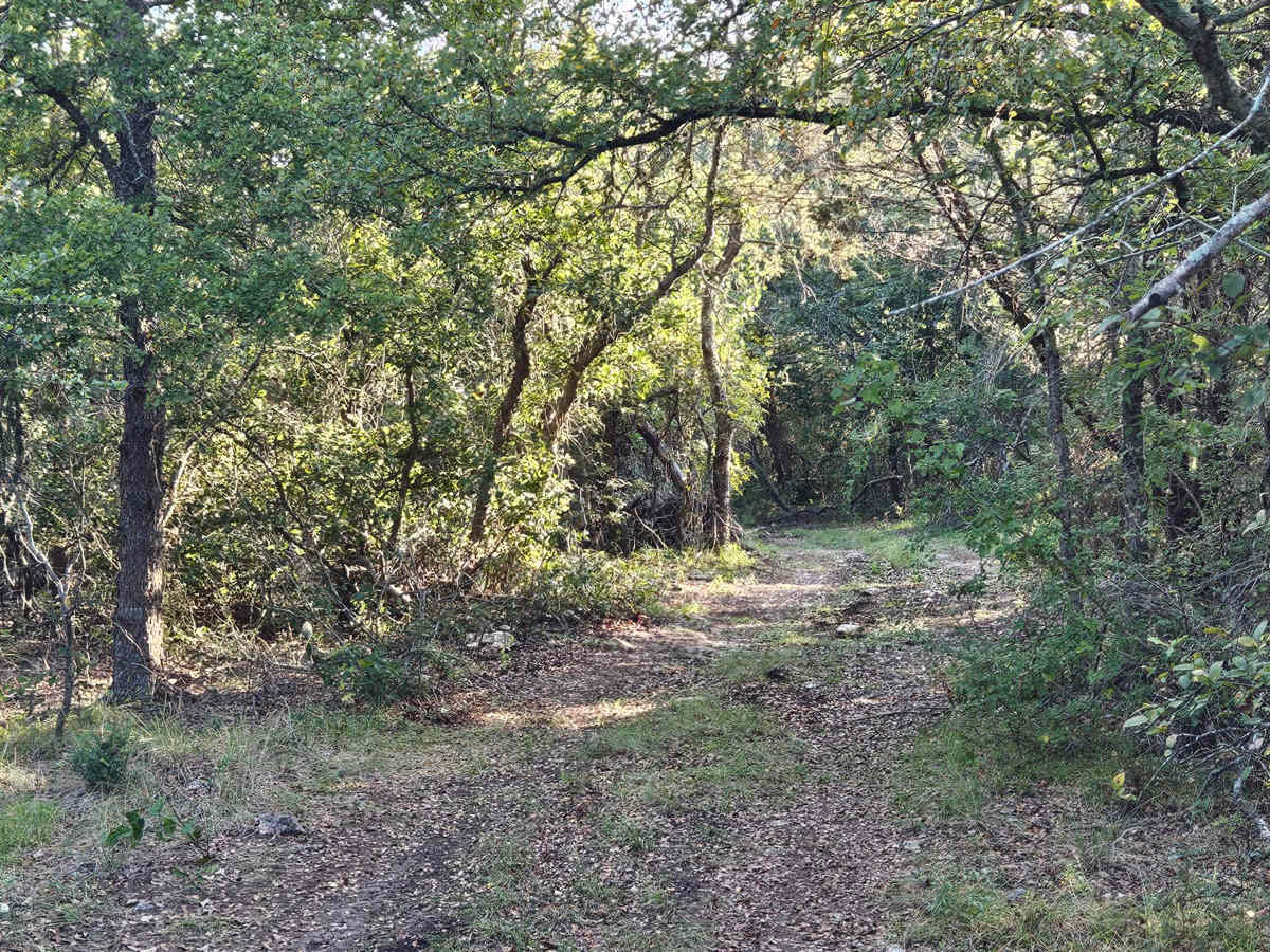 Sleepy Shortcut photo 5