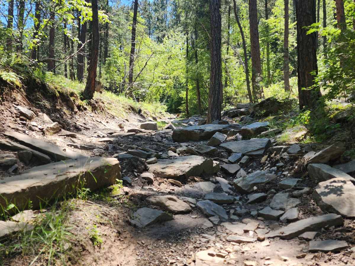 Jake Section 1 trail photo