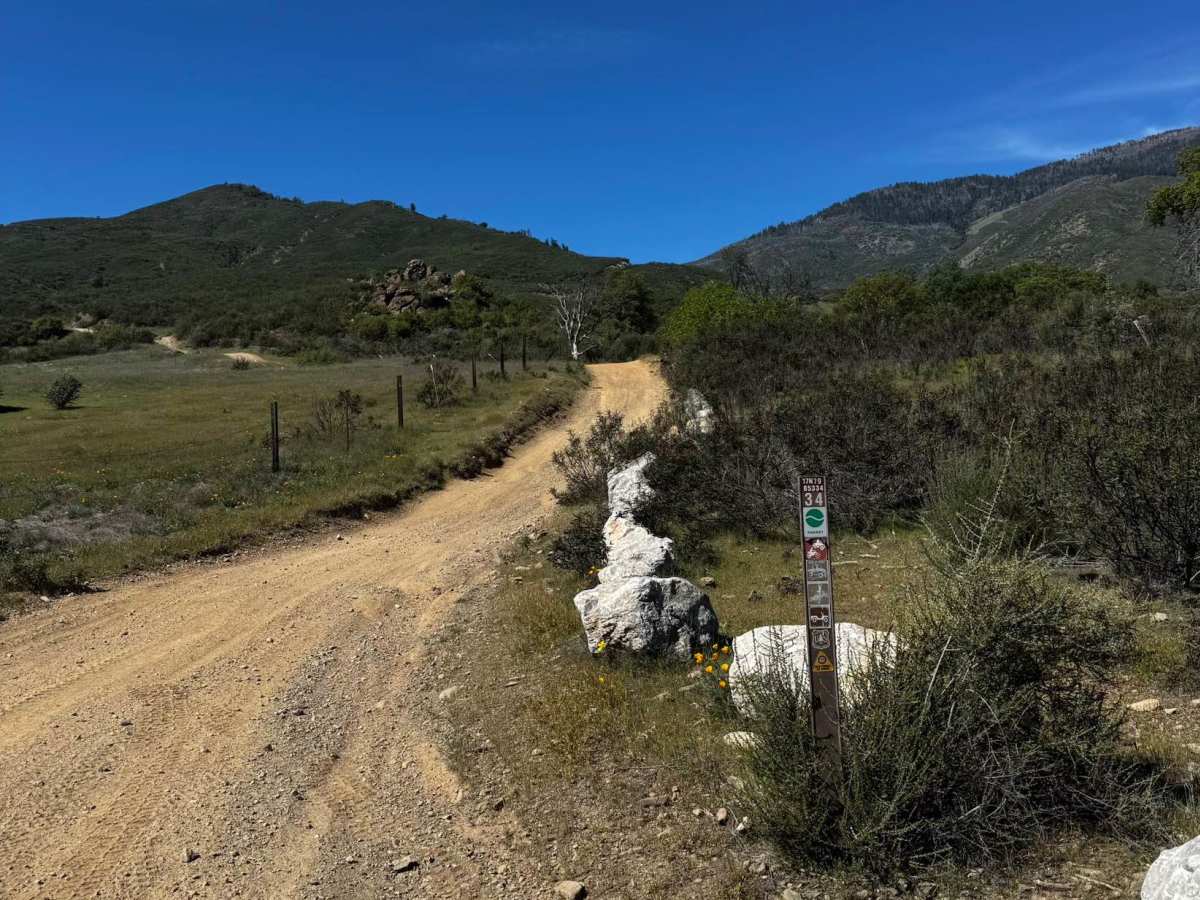 Champagne - FS 17N79 trail photo