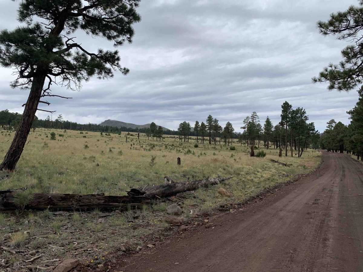 White Horse Trail photo 6