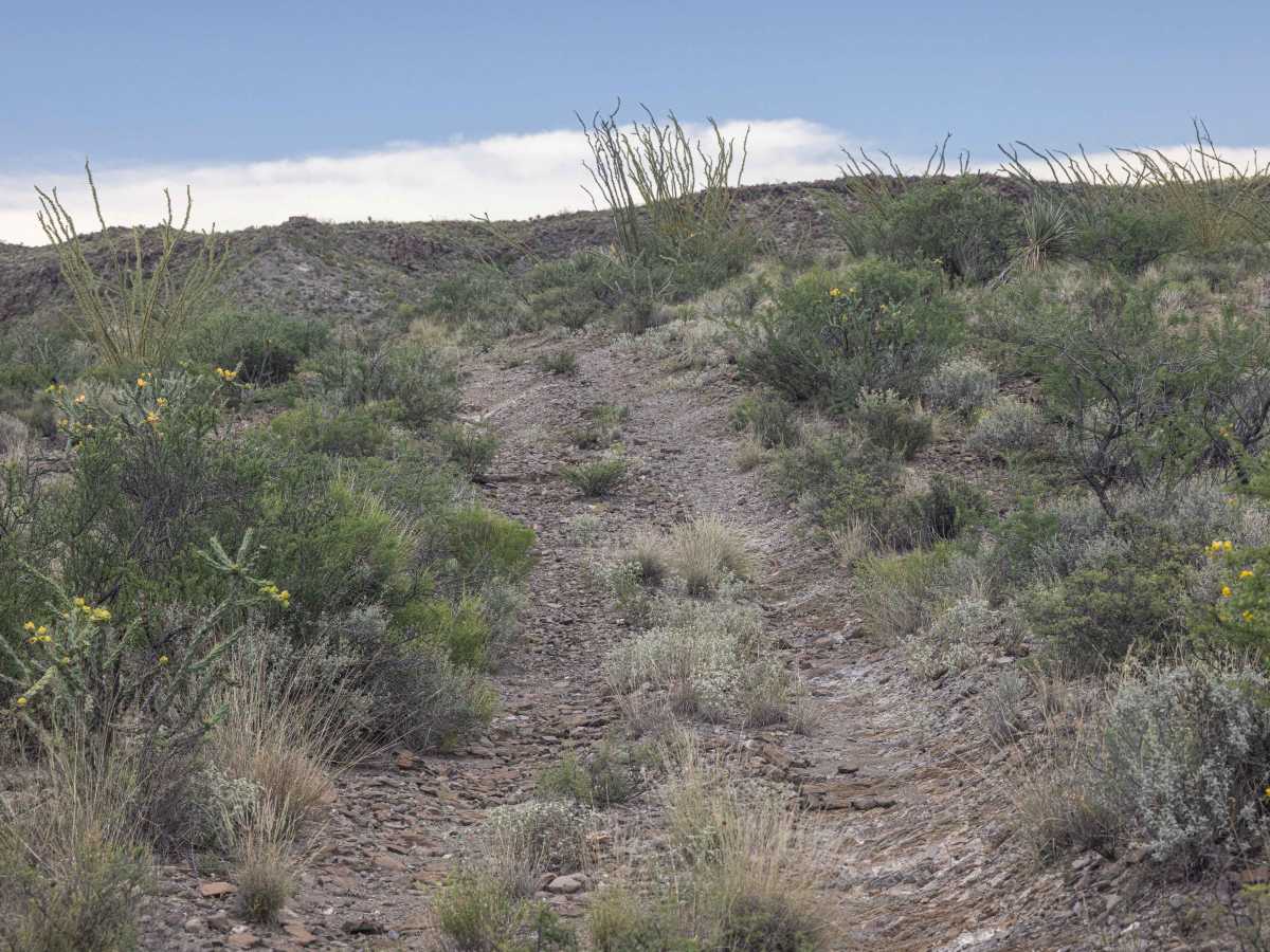 BBRSP La Mota Road photo 5