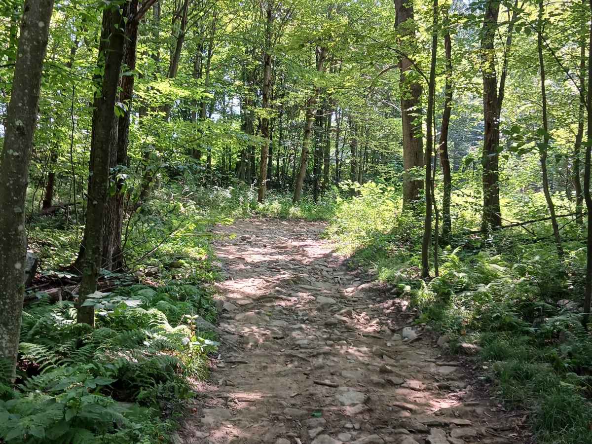 Raptor Path Trail - Rock Run Recreation Area photo 3
