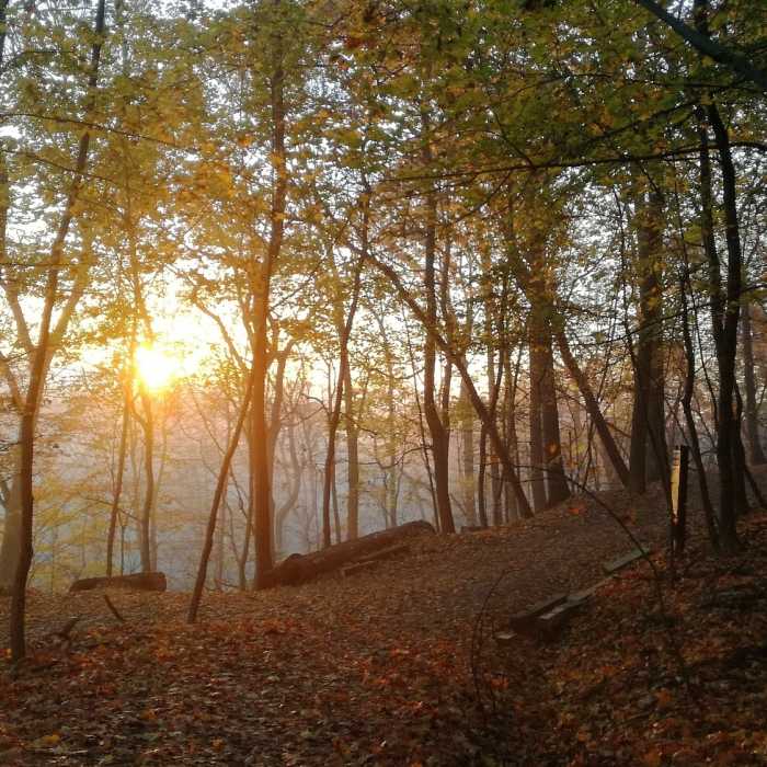 Near Homewood Trail