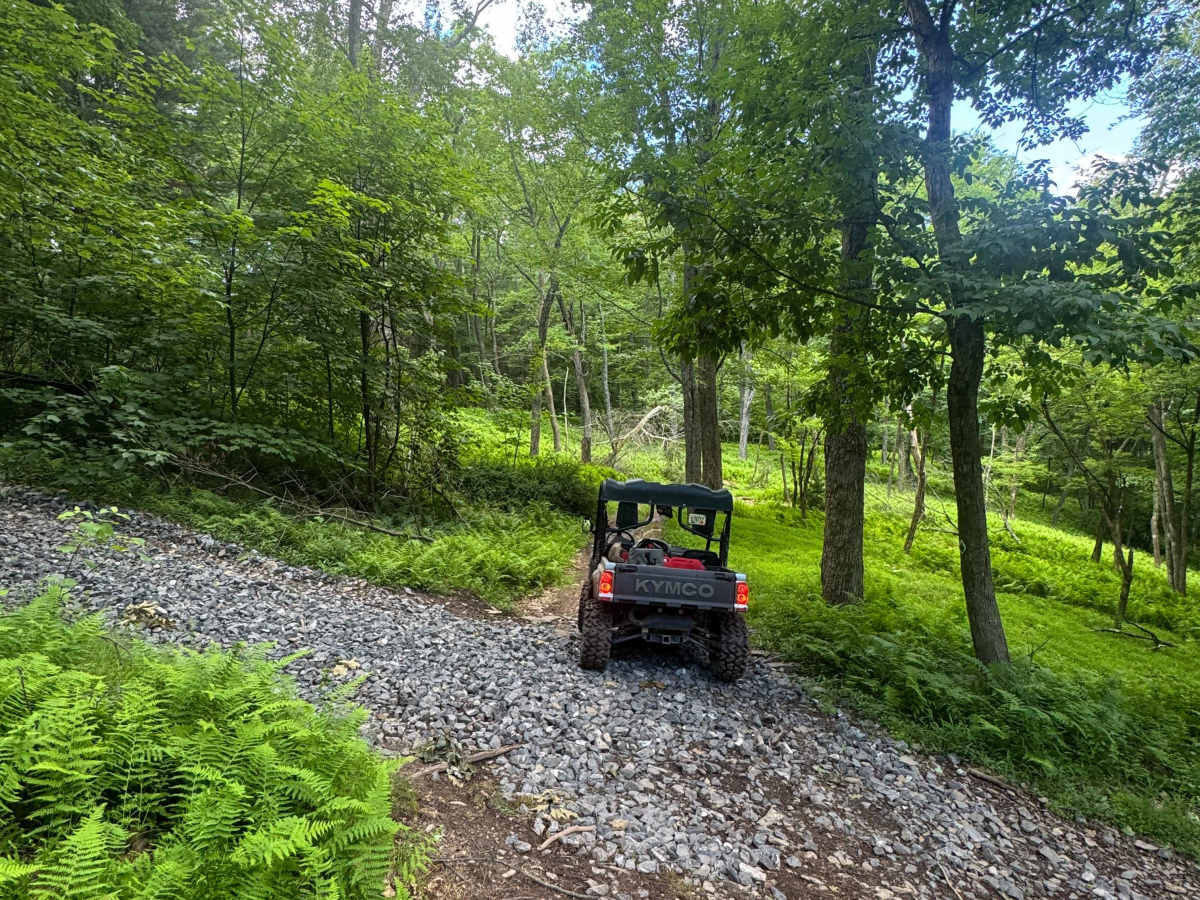 Spruce Lane trail photo